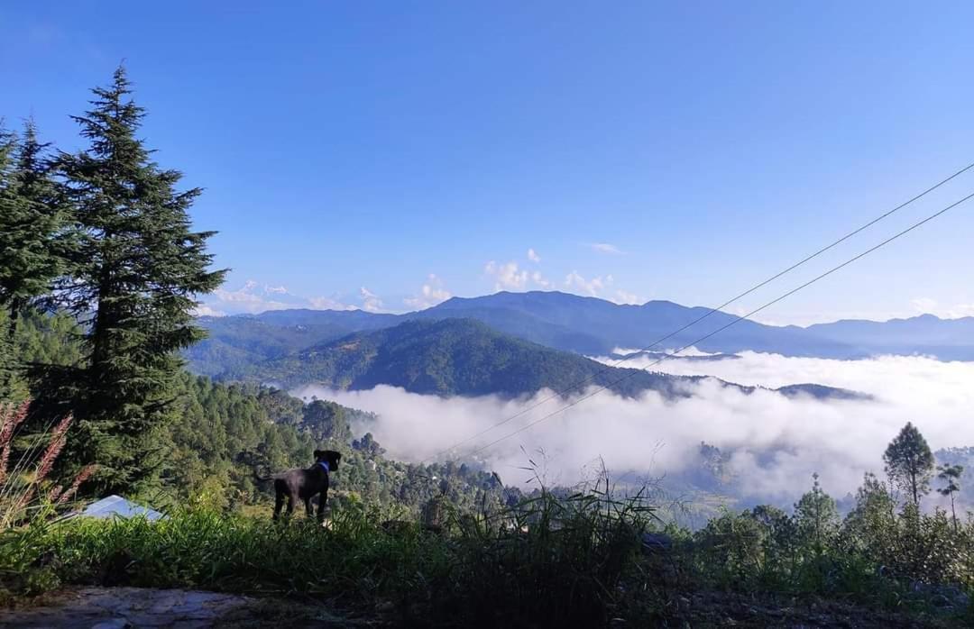 Little Himalayan Abode Villa Almora Exterior photo