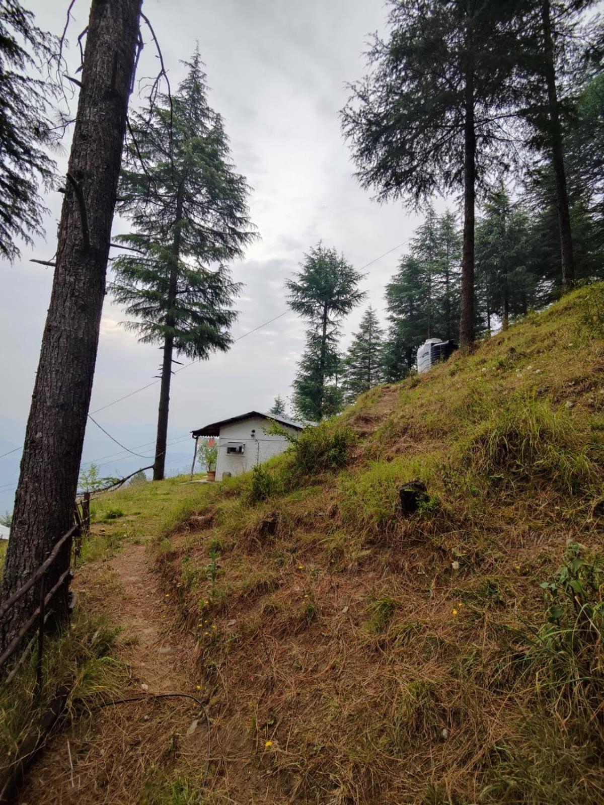 Little Himalayan Abode Villa Almora Exterior photo